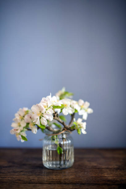istock Cherry twigs in a vase 1198400121
