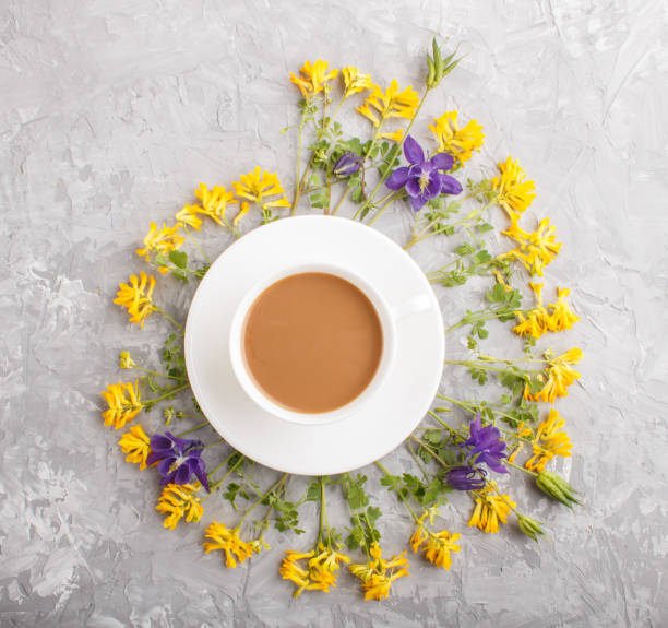 gelbe und blaue blumen in einer spirale und eine tasse kaffee auf grauem betonhintergrund. morninig, frühling, mode-komposition. flache lage, ansicht von oben, nah. - comfort food high angle view directly above close up stock-fotos und bilder