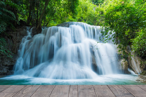 puente de madera con fondo de hermosa cascada en la selva tropical - flowing business blackboard green fotografías e imágenes de stock