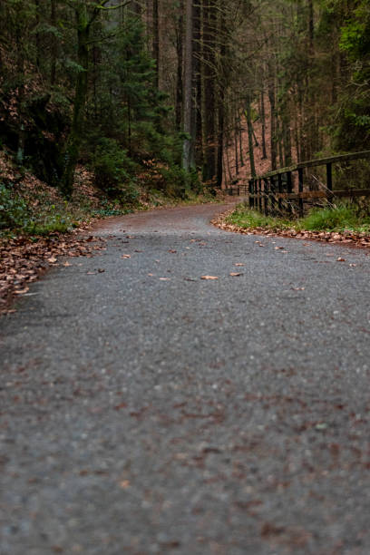 istock Paved hiking trail Lichtenhain 1198403587