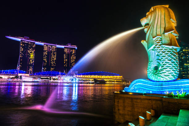 Singapore, Singapore - May 18, 2015: The Merlion statue and Esplanade Theatres in Singapore at night. The Merlion is a traditional creature in Singapore with a lions head and a body of fish.