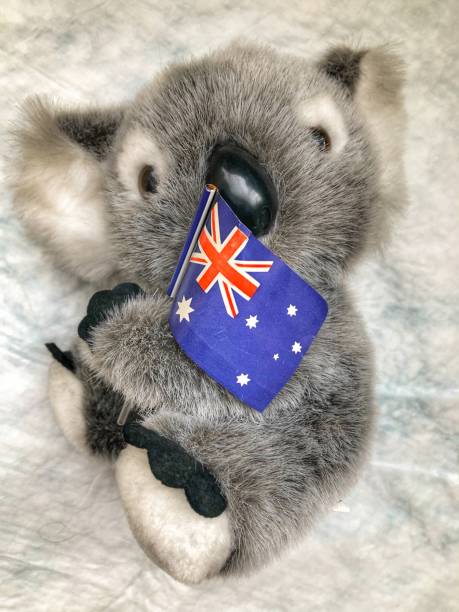 istock Toy Koala - Pray for Australia 1198410067