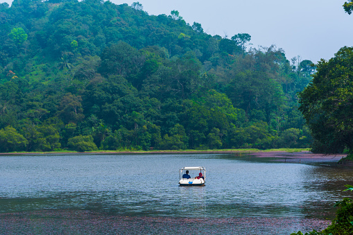 Pookode Lake Beautiful freshwater lake in Wayanad boating Kayaking and other water  adventure activities best place to enjoy the holidays in Kerala