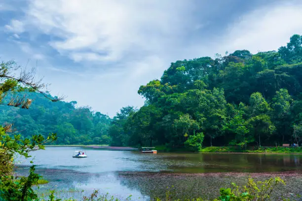 Photo of kerala nature scenery wayanad pookode lake boat ride