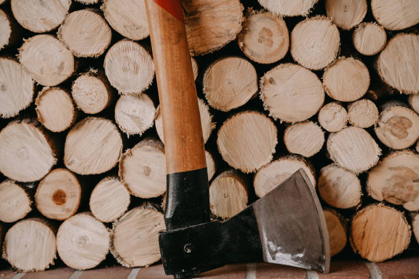 An ax stands in front of round-cut firewood in rows