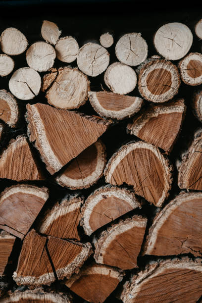 Chopped firewood stacked in two layers