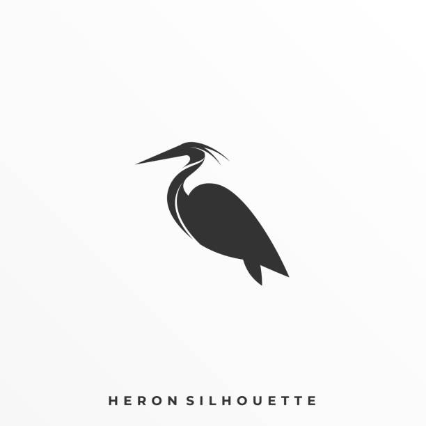 heron poz i̇llüstrasyon vektör şablonu - hayvan vücudu stock illustrations