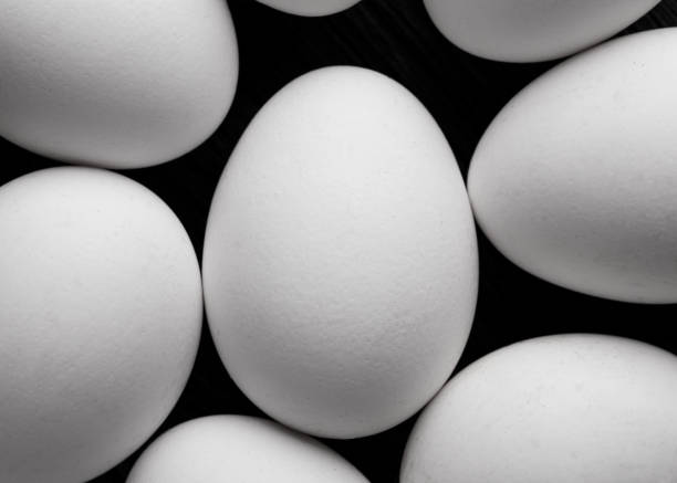 istock White chicken eggs close-up. A bunch of white raw eggs. 1198415255
