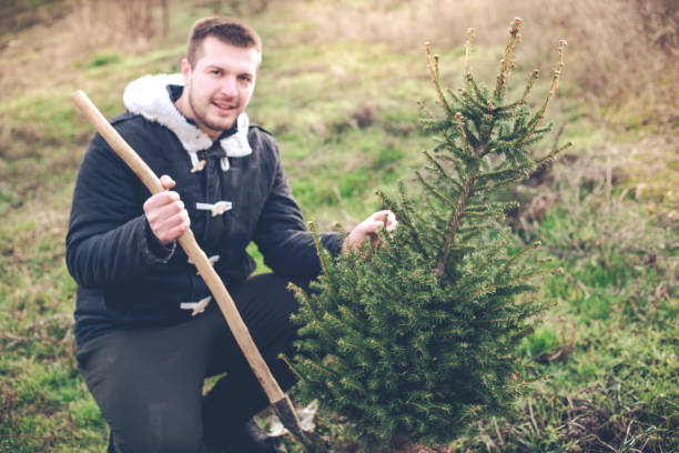 istock Young man planting fir tree 1198415340