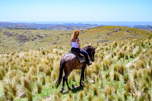 Rear view of woman in mid 20s on horse walking along pampas trail in Sierras Chicas hills near Cordoba, Argentina.