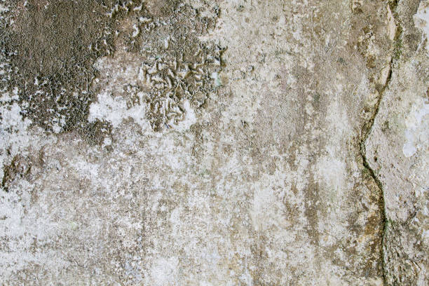 istock Detail of old weathered wall 1198419702