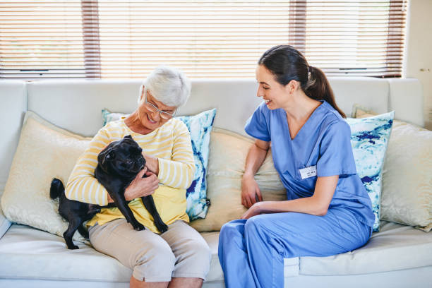 She has everything she needs to live a comfortable life Shot of a senior woman holding her dog while sitting with a female nurse insurance pets dog doctor stock pictures, royalty-free photos & images