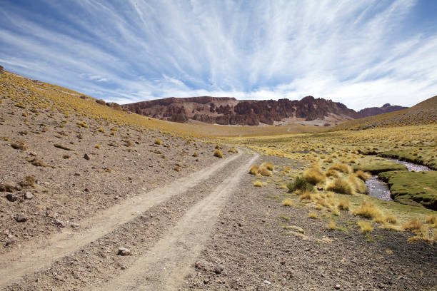 istock Landscape in the Puna de Atacama, Argentina 1198424290