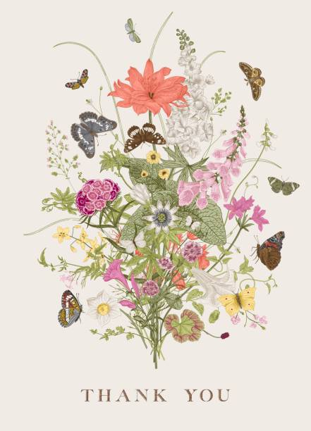 ilustrações de stock, clip art, desenhos animados e ícones de garden flowers. - horticulture butterfly plant flower