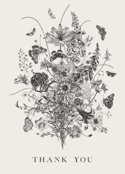 210+ Digitalis Purpurea Foxglove Plants Antique Illustration Stock