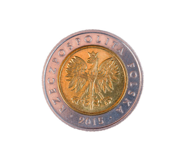istock coin five Polish zlotys 1198425532