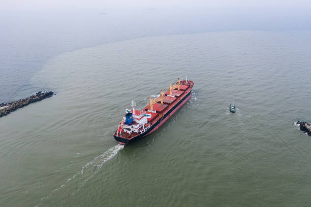 istock Aerial view of a cargo vessel and pilot ship. 1198425748