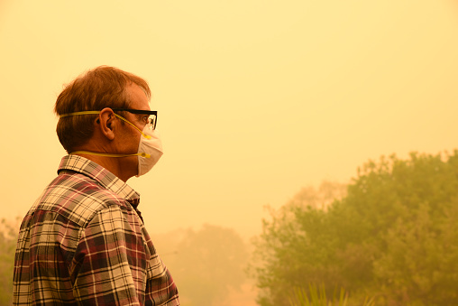 Un hombre lleva una máscara facial para protegerse de un nivel muy peligroso de contaminación del aire.  Una espesa niebla amarilla procedente de los incendios forestales cercanos cubre la ciudad de Canberra. photo