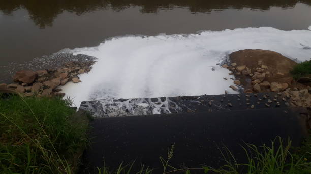 istock water river pollution in southern Brazil 1198429954