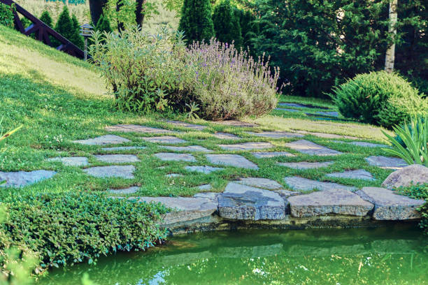 Flowing water and footpath  in the backyard garden