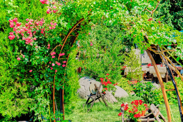 istock Beautiful garden decoration with red roses 1198431478