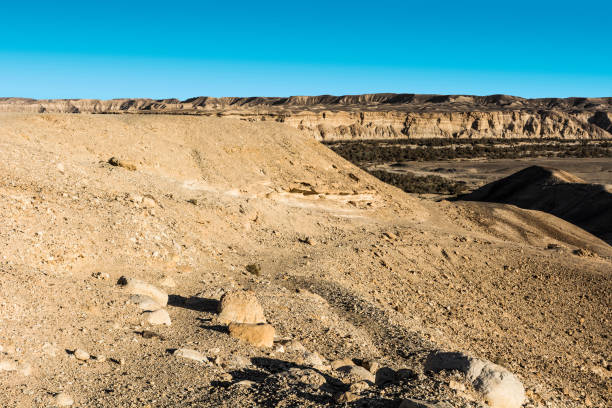 istock Negev Desert in Israel 1198432563
