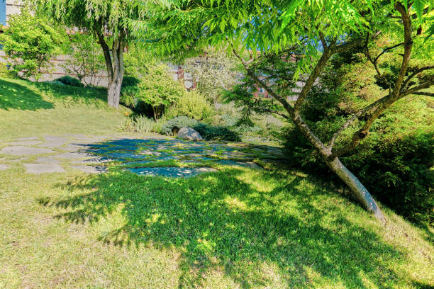 istock Footpath through a beautiful green backyard garden 1198432846