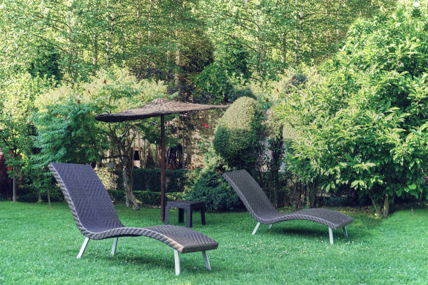 Sun bed onto green grass on a sunny day