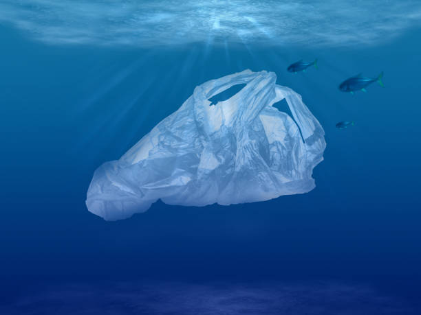 istock Plastic bag underwater environmental pollution in the world's oceans 1198434980