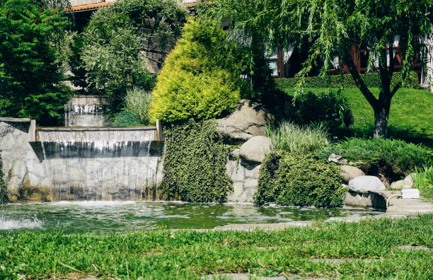 piscina con fontana nel giardino sul retro - fountain landscaped ornamental garden flower bed foto e immagini stock