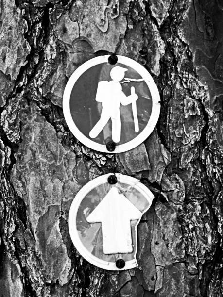 The Woodlands, TX USA - 04-02-2019  -  Walking Trail Signs on a Tree  in B&W