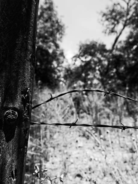 istock Wooden Post and Barbwire 1198435971