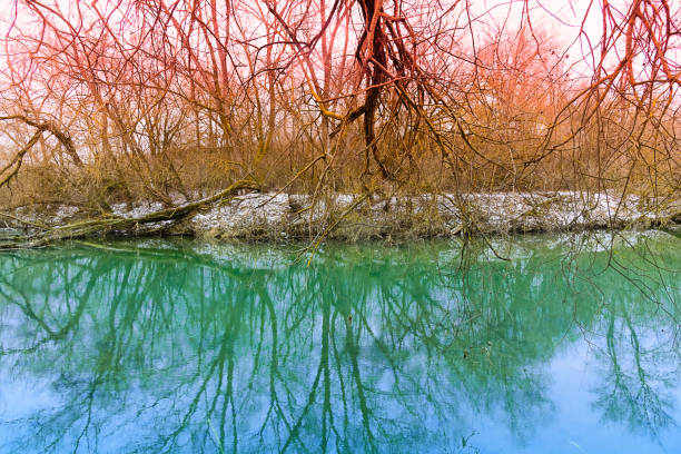 istock Reflection of trees in the river, color rainbow 1198436120