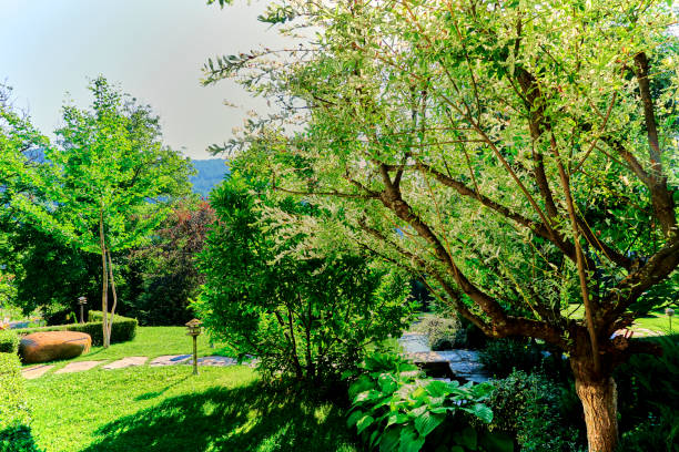 istock Stone made footpath-walkway in green backyard garden 1198437539