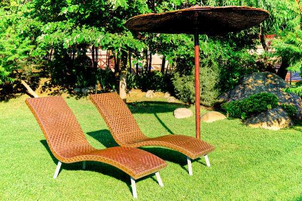 istock Sun bed onto green grass on a sunny day 1198438756