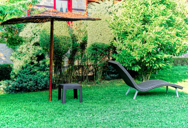 istock Sun bed onto green grass on a sunny day 1198439853