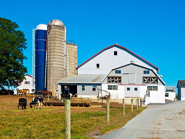 istock Amish Farm, Lancaster USA 119844070