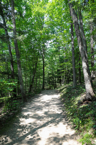 istock Buttermilk Falls State Park. Ithaca, New York 1198441235