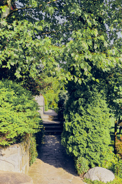istock Stone made stairs in the backyard garden 1198441660