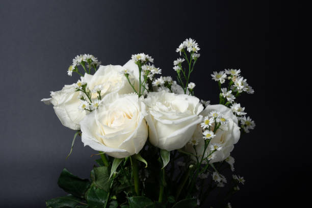 istock White rose color flower on black background, copy space for text, valentine's day concept 1198445802