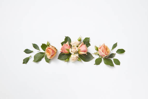 istock Greeting card with blooming coral roses flowers. 1198445974