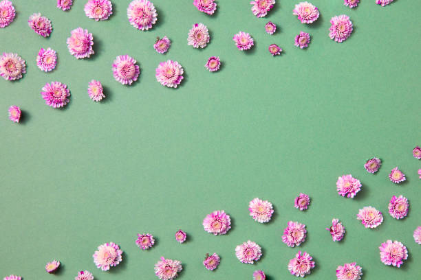 istock Corner diagonal frame from blooming pink flowers. 1198445996