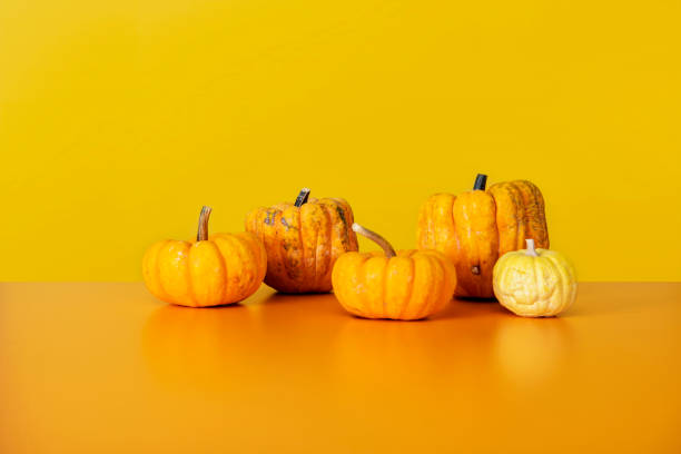 pumpkin arrangement against on the yellow desk