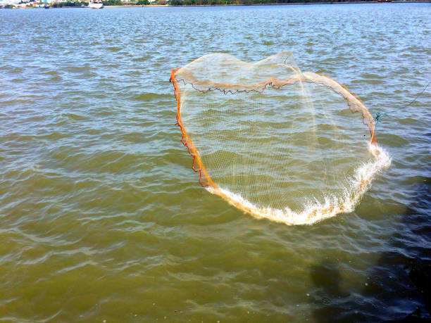 istock waste water And nets for fishing 1198446960