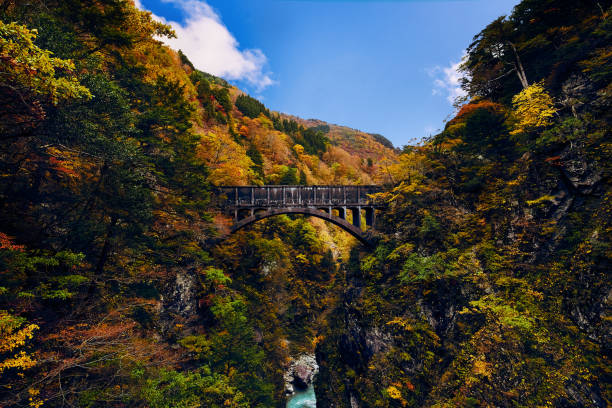 istock Old bridge in Kurobe Gorge, Toyama, Japan. 1198447143