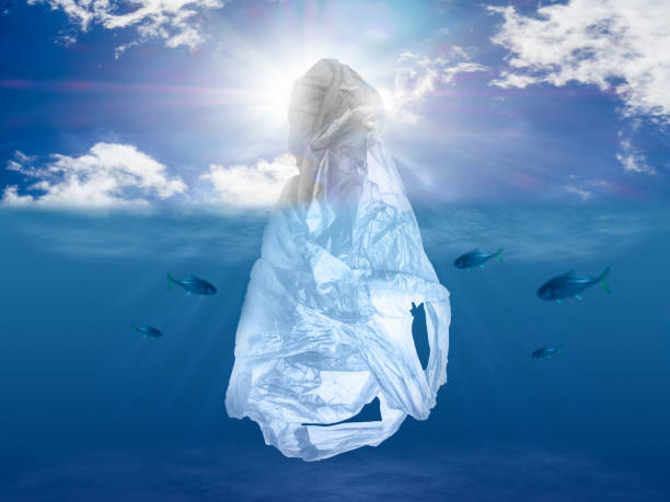 istock The tip of the plastic iceberg pollution 1198447493