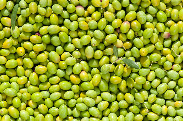 istock Olives galore, green variety 119844853