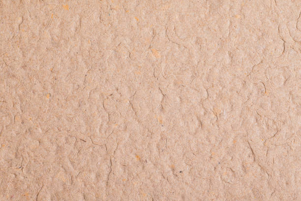 istock texture of Compacted recycled paper 1198449825