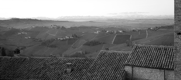 Wide winter panorama of the vineyards in Serralunga d'Alba, small village in the hilly region of the Langhe (Piedmont, Northern Italy) UNESCO site since 2014; this area is world famous for its valuable red wines, like Barolo and Barbaresco.