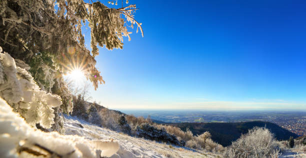 istock Winter panorama with copy space on blue sky 1198459403